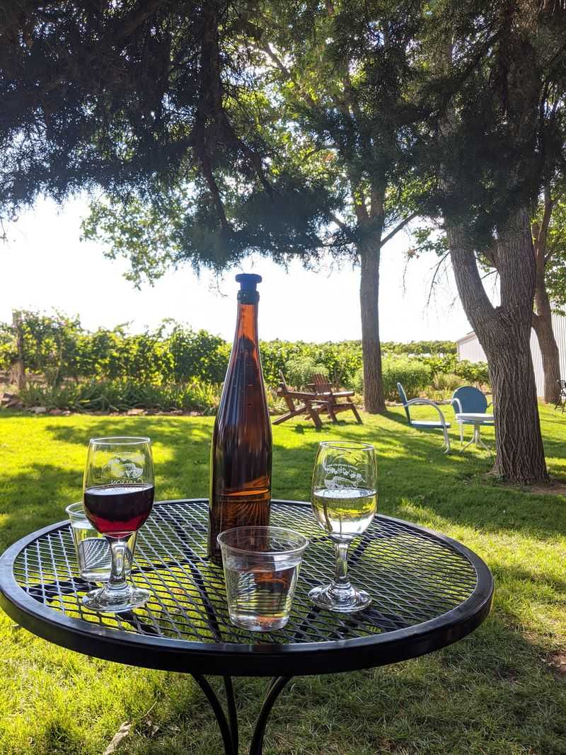 Carlson Vineyards, Palisade, Colorado