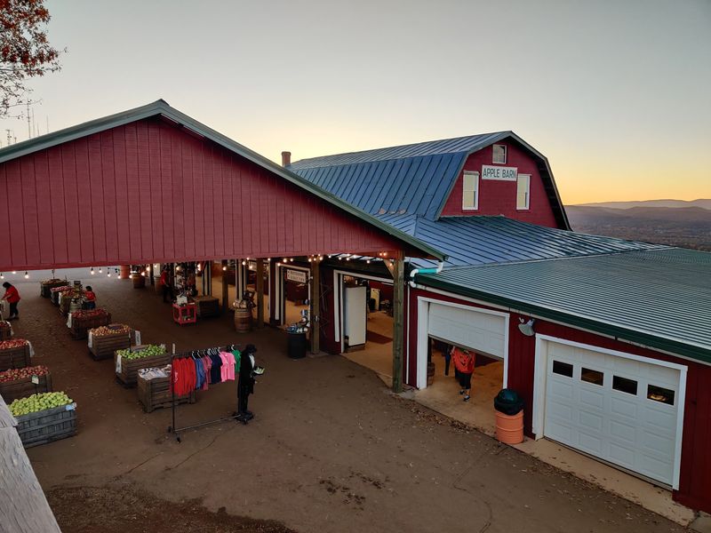 Carter Mountain Orchard, Charlottesville, Virginia