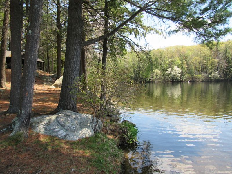 Casting A Line From The Shore
