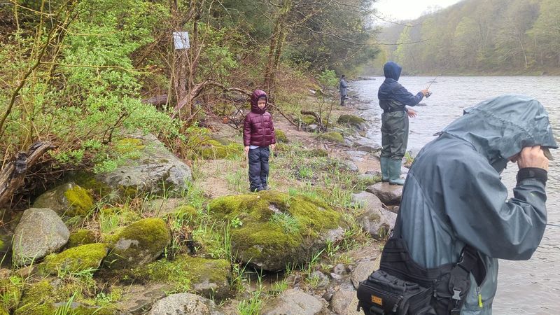 Casting A Line In The Stream