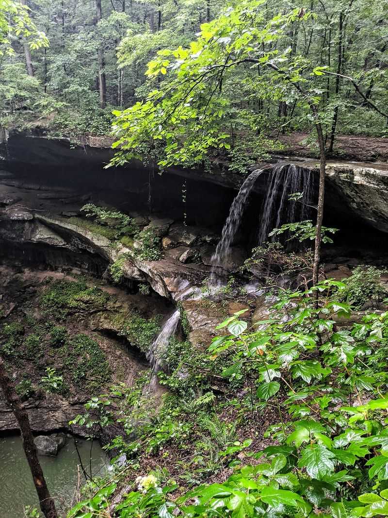 Cave-Like Overhangs and Fern Cave Cave-Like Overhangs and Fern Cave