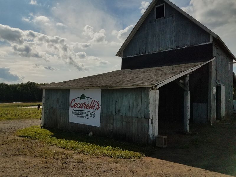 Cecarelli Farms, Northford, CT