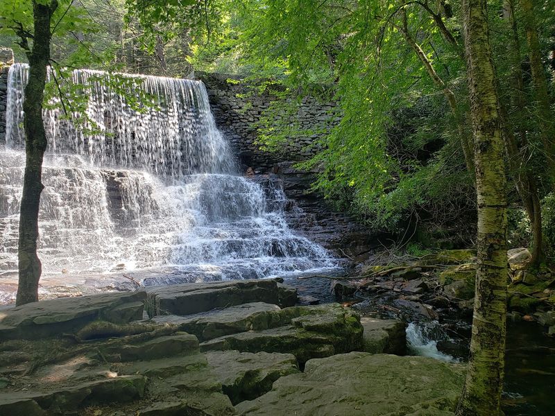 Chasing Waterfalls Along Quiet Creeks