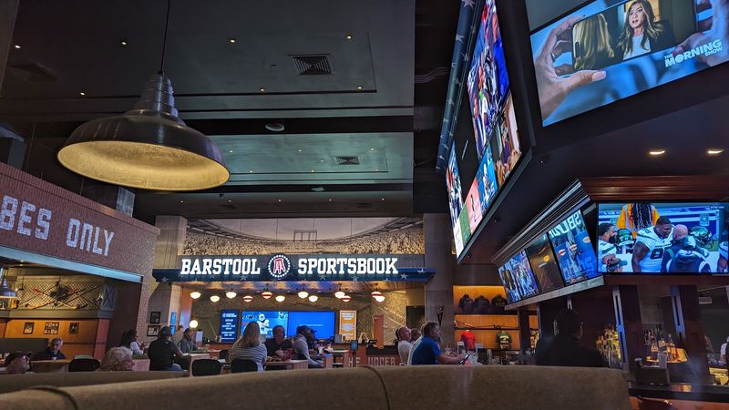 Cheering At The Sports Book