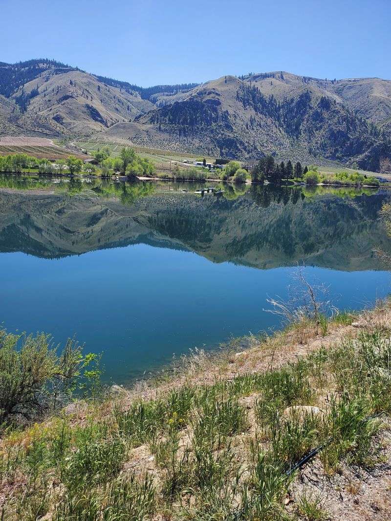 Chelan