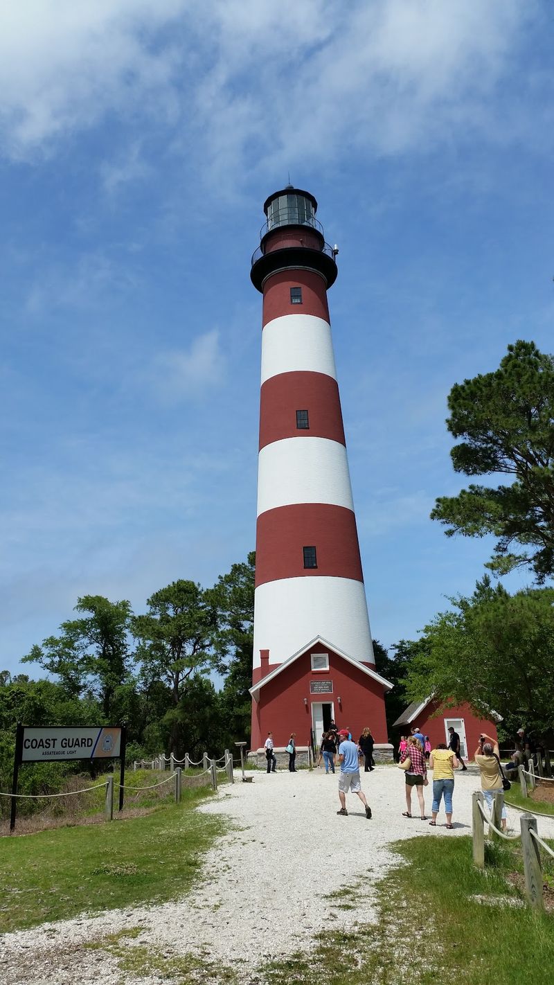 Chincoteague Chincoteague