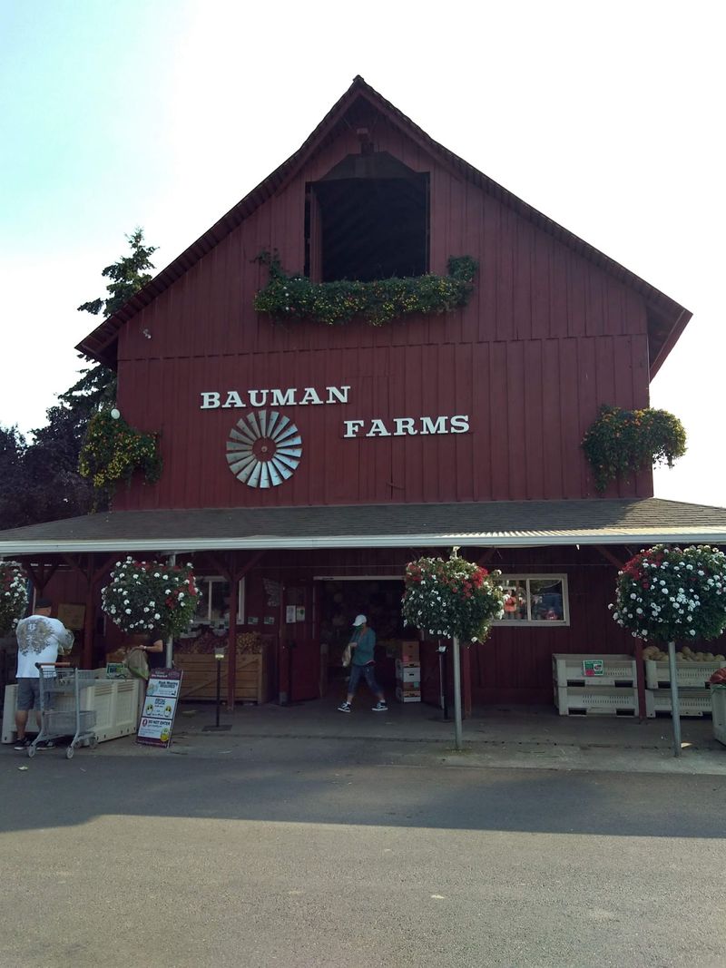 Christmas At The Farm