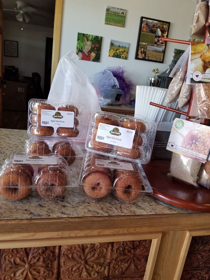 Cider Donuts and Cold Treats Worth the Detour