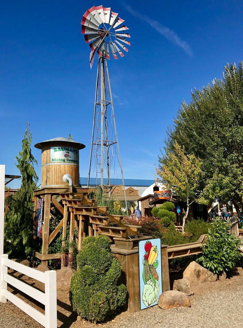 Cider Tasting And The Farm's Claim To Fame