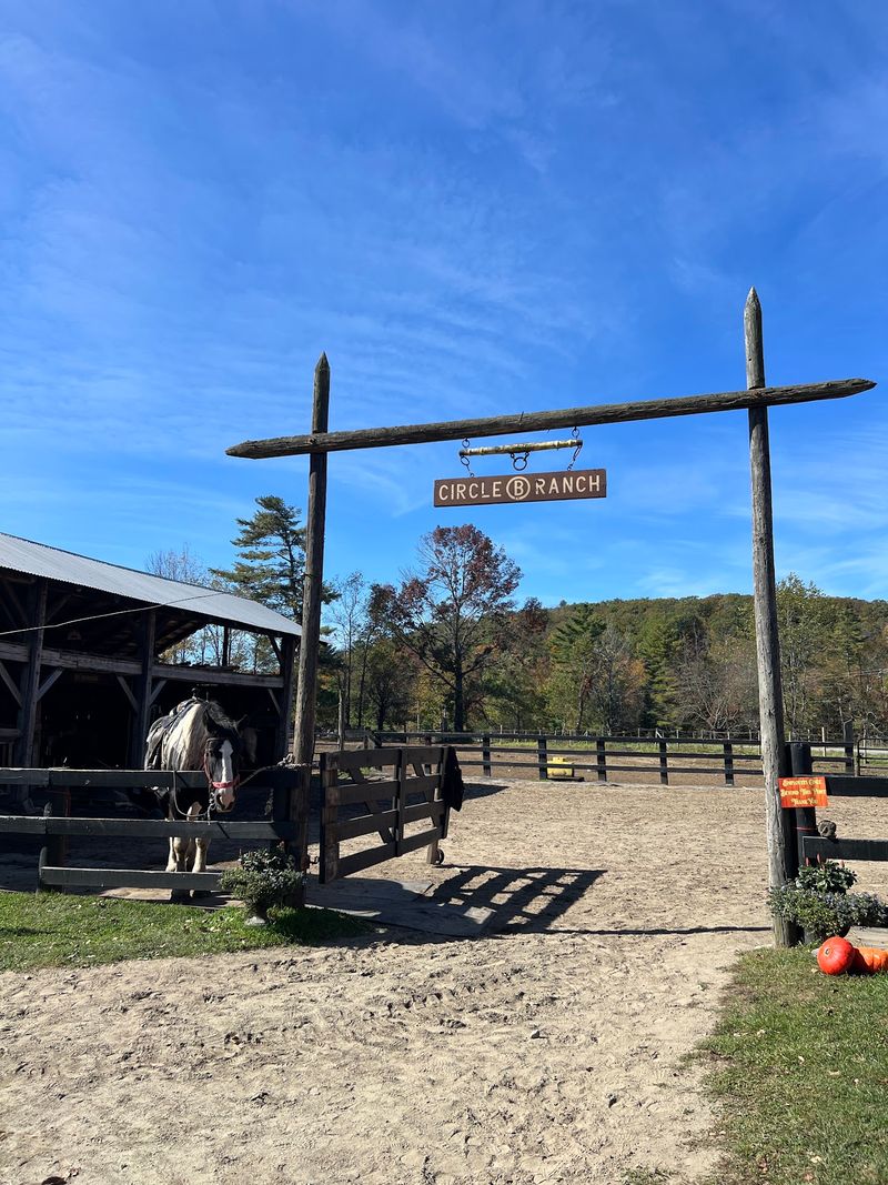 Circle B Ranch & Farm Store, Seymour