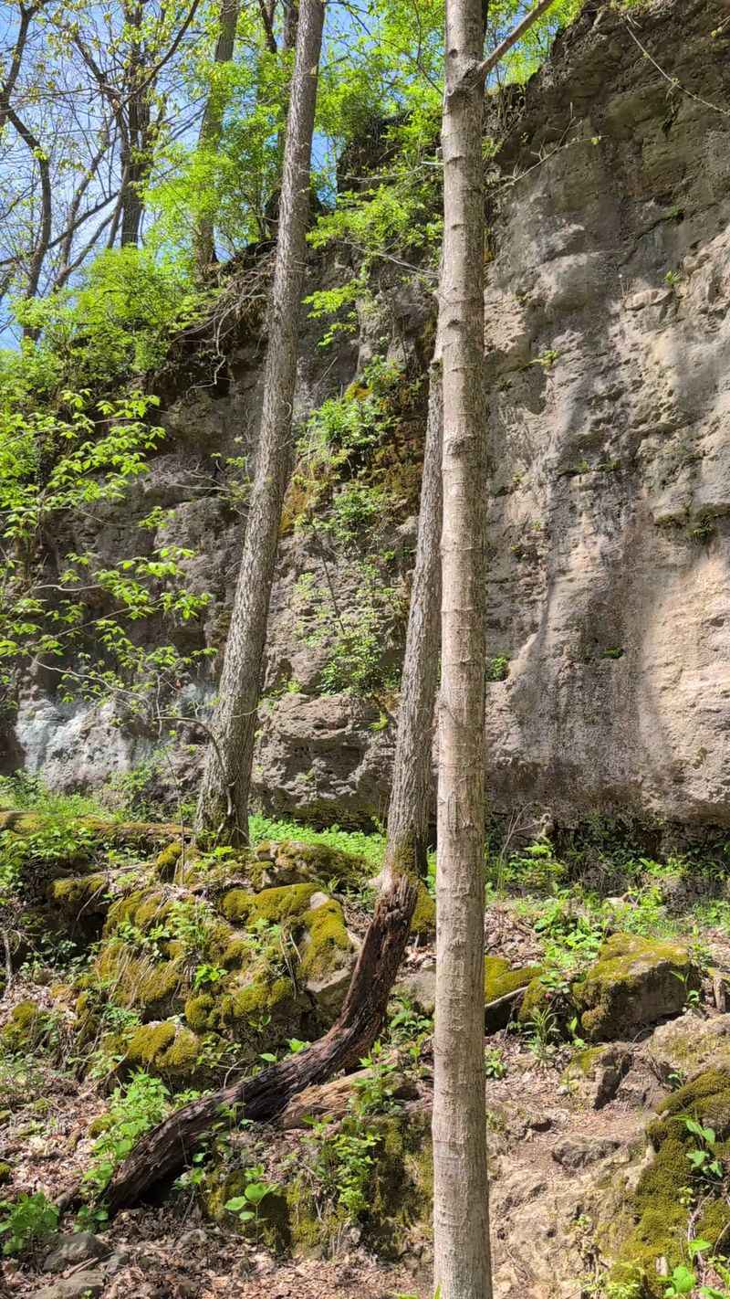 Cliffs Built for Climbers