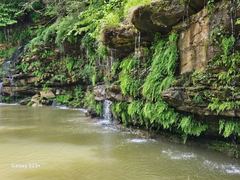 Cliffs That Look Like Hanging Gardens