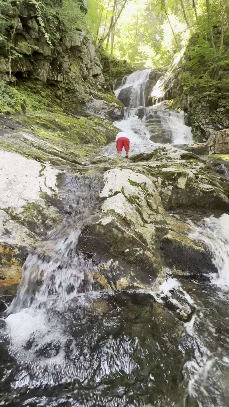 Climbing the Falls: An Adventure for the Brave