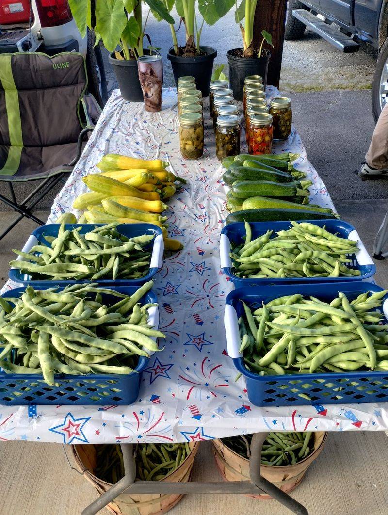 Coffee County Farmers Market Cider Stands, Manchester