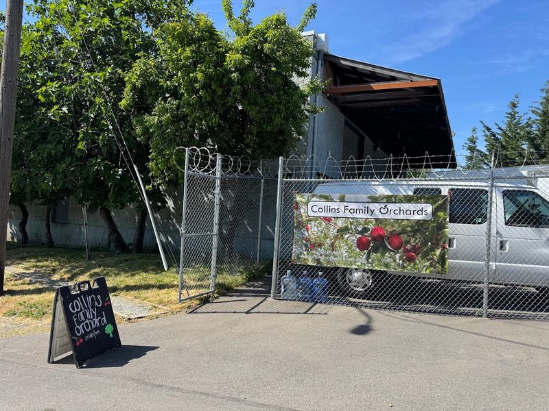 Collins Family Orchards, Selah