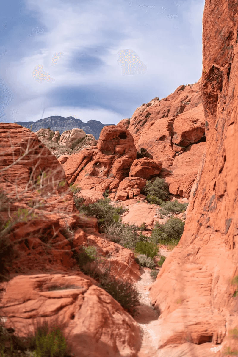 Colors And Textures Along The Way