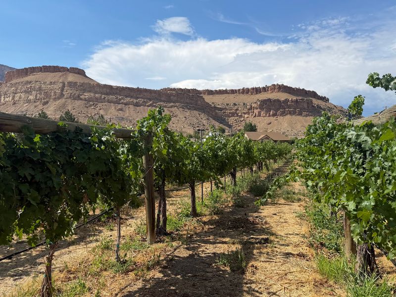 Colterris Winery, Palisade, Colorado