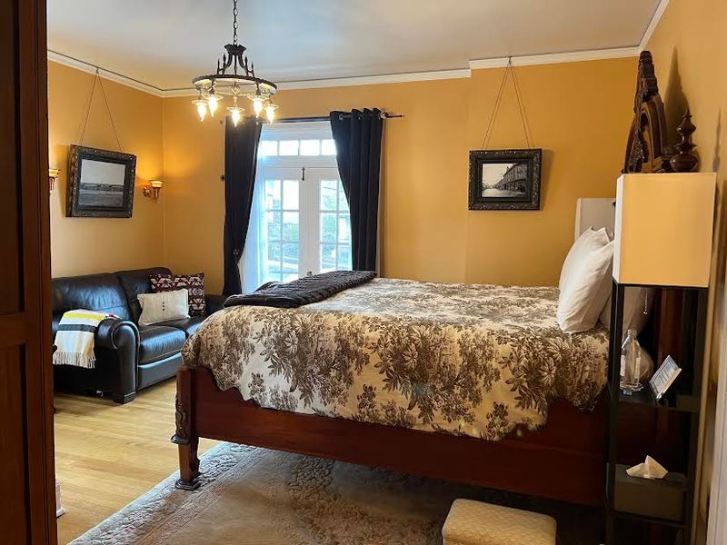 Comforts, Perks, and a Friendly Policy for Pets