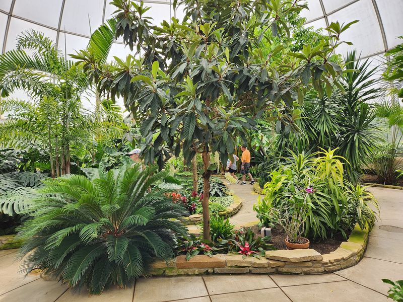 Conifers, Art, And Collections Around Every Bend