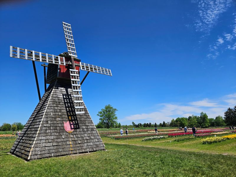 Connecting With Holland's Dutch Heritage Adds Depth to Every Visit