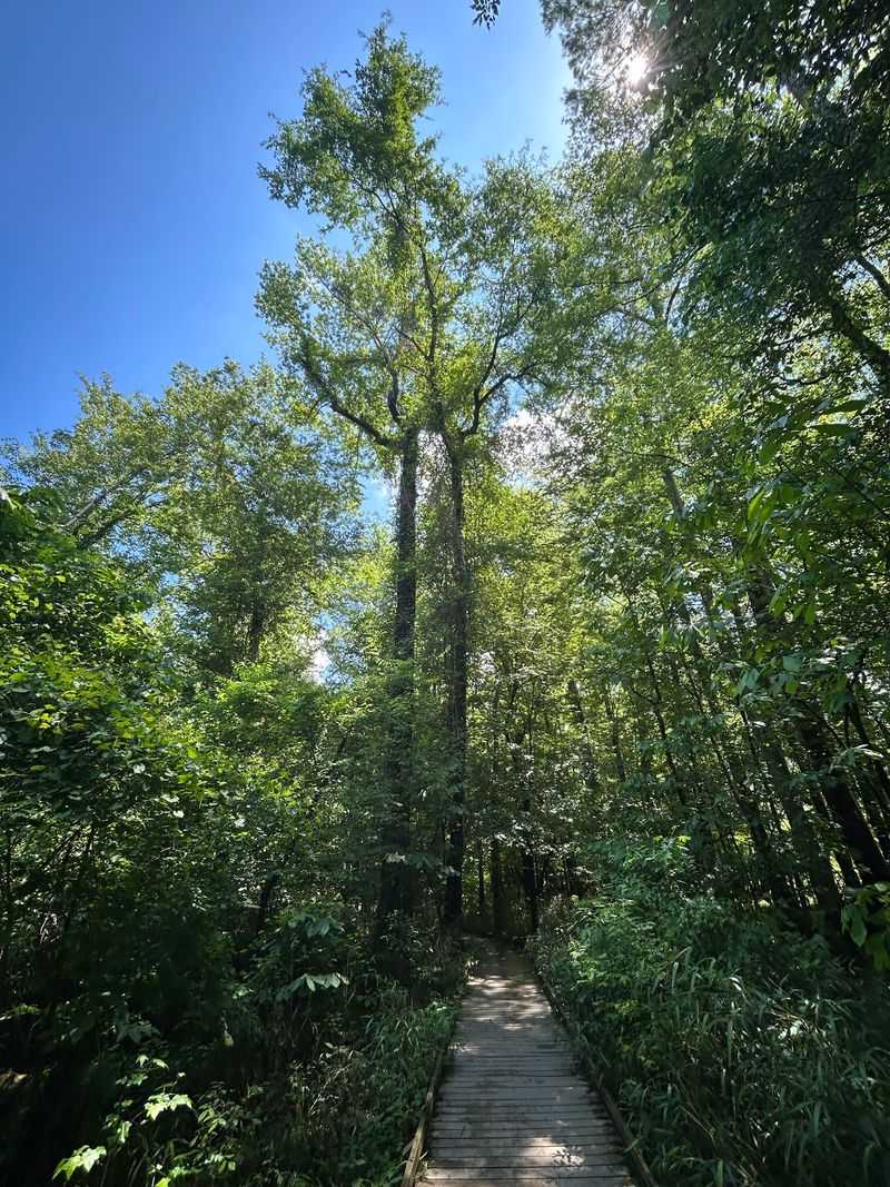 Connections To The Park's Other Trails