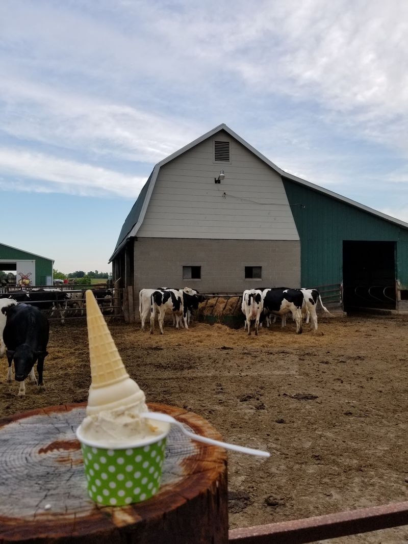 Cook's Farm Dairy, Ortonville, Michigan