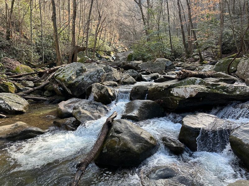 Cool Creeks And Streamside Rest Stops