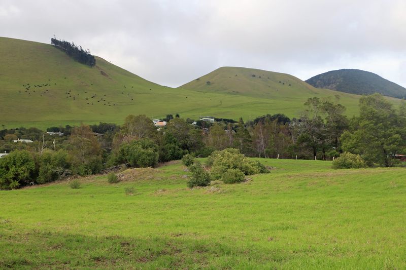 Cooler Air And Green Hills Instead Of Beaches Cooler Air And Green Hills Instead Of Beaches