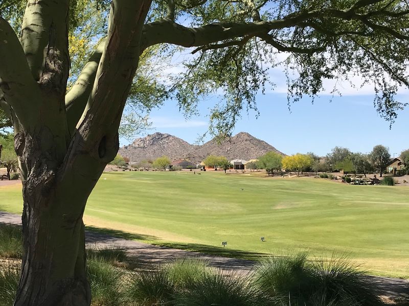 Copper Canyon Golf And Its Three Nines