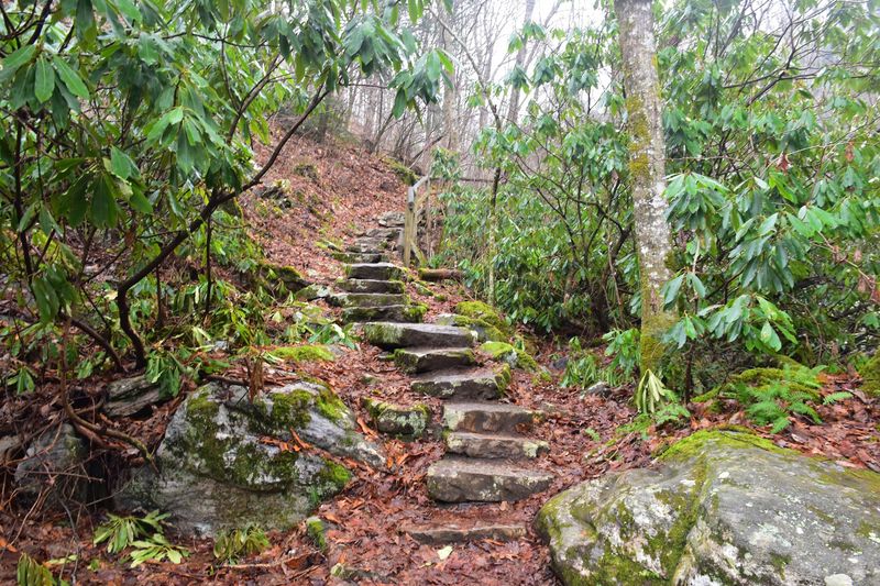 Count on the Climb