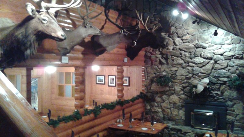 Country Lodge Charm and Mounted Trophies Country Lodge Charm and Mounted Trophies