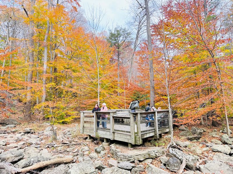Cozy Cabins For The No-Tent Crowd