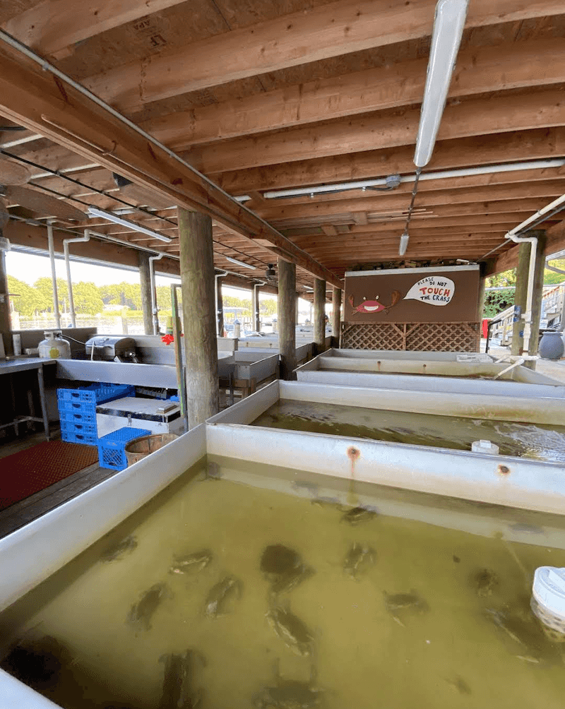 Crab Tanks and a Working Waterfront