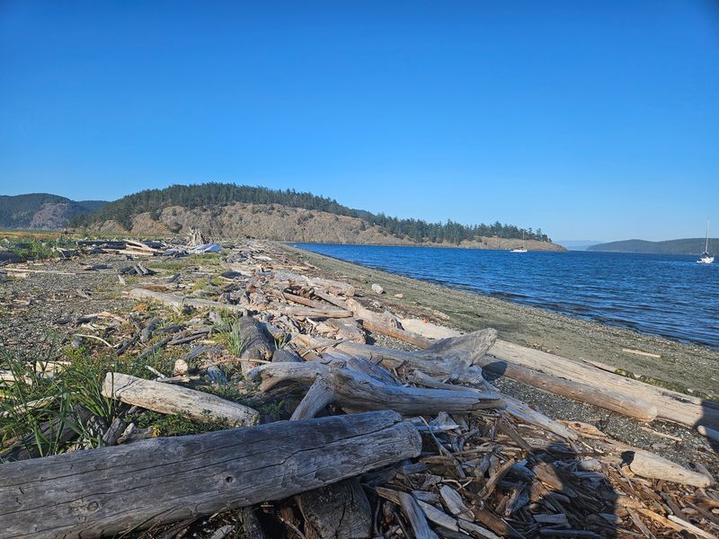 Crabbing And Fishing Right From The Shoreline