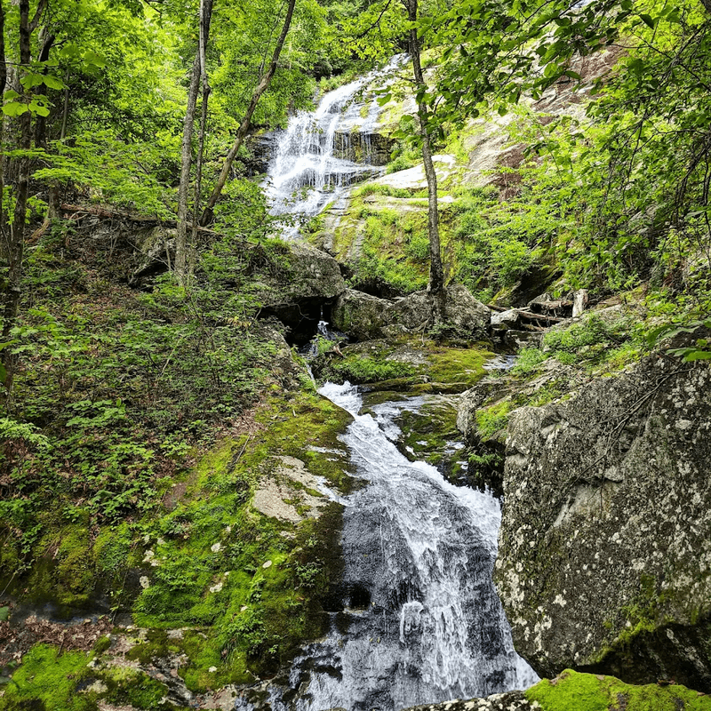 Crabtree Falls, Montebello, Virginia