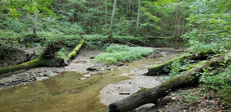 Creek Crossings And Cool Water