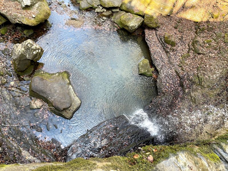 Creeks, Blue Holes, and the Boulder Pool Creeks, Blue Holes, and the Boulder Pool