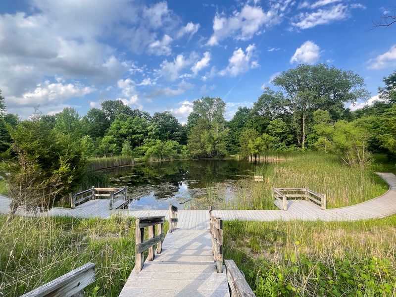 Creeks, Ponds, and the Critters Along the Way
