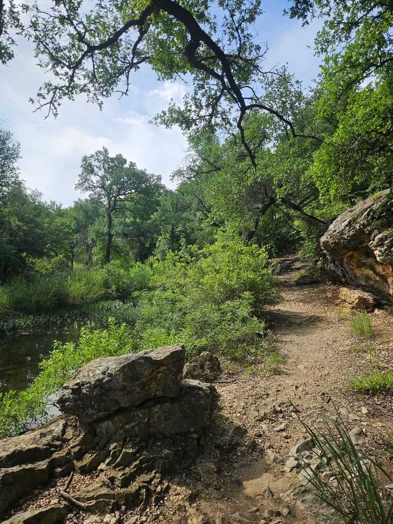 Creekside Trails and the Beauty of Lost Creek