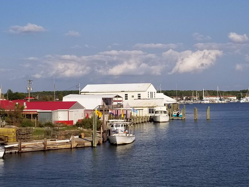 Crisfield's Oyster Heritage and History