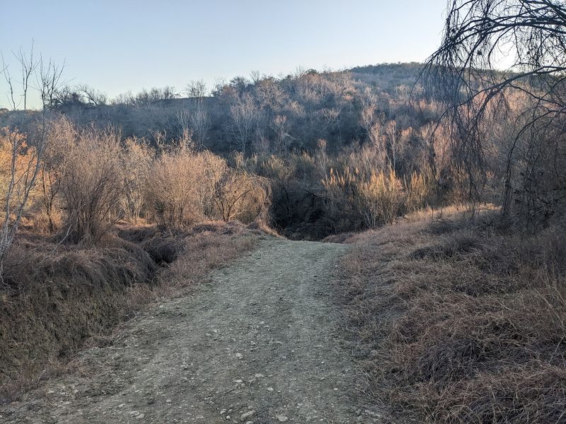 Cross-Country Trails Turn It Into a Winter Destination