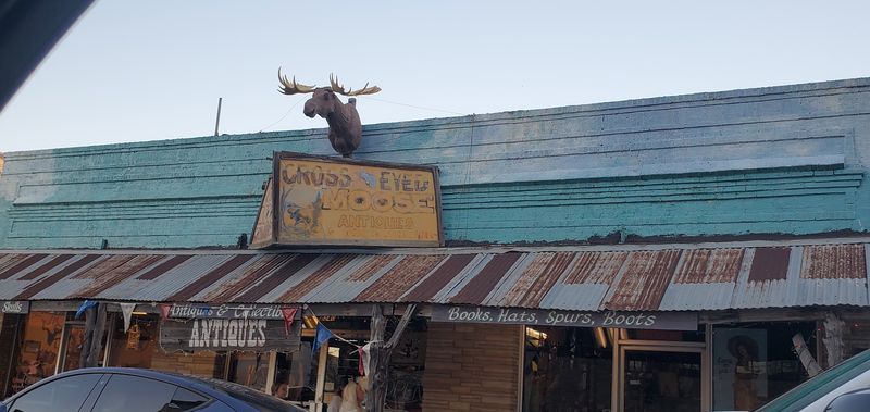 Cross Eyed Moose, Republic
