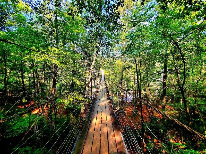 Crossing the Piney Creek Suspension Bridge Crossing the Piney Creek Suspension Bridge