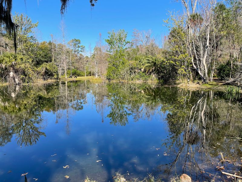 Crystal-Clear Canal Views That Add a Peaceful Water Element