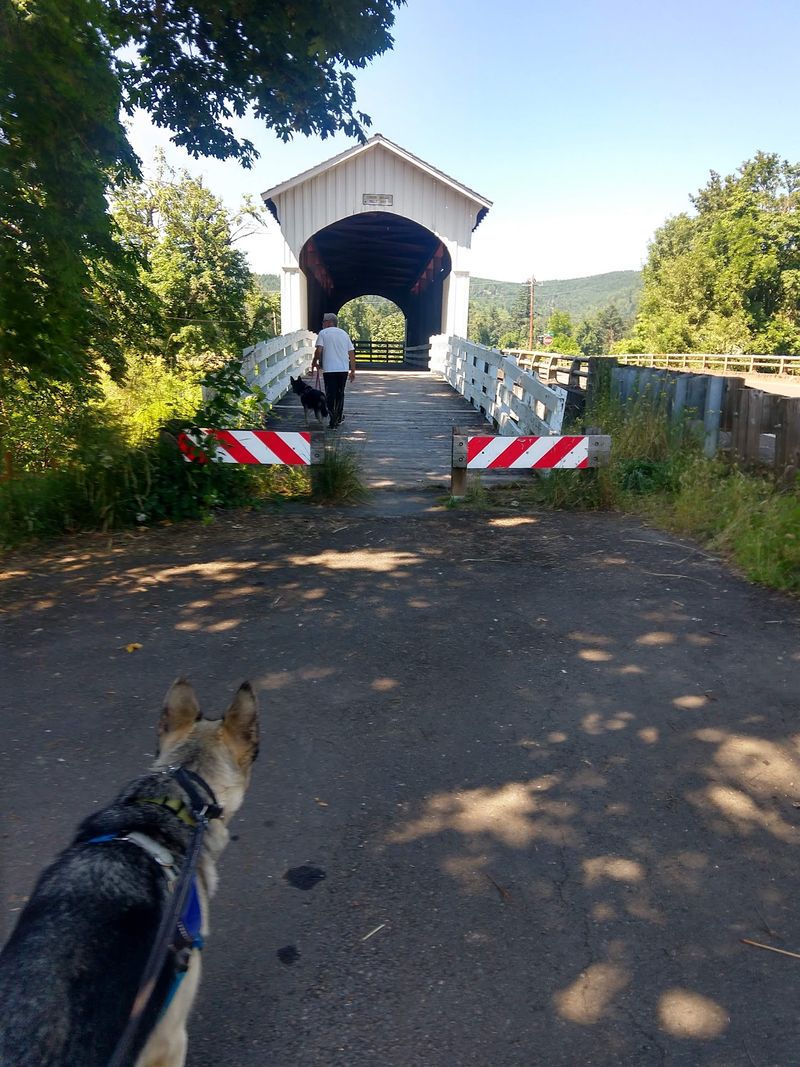 Currin Covered Bridge, Cottage Grove