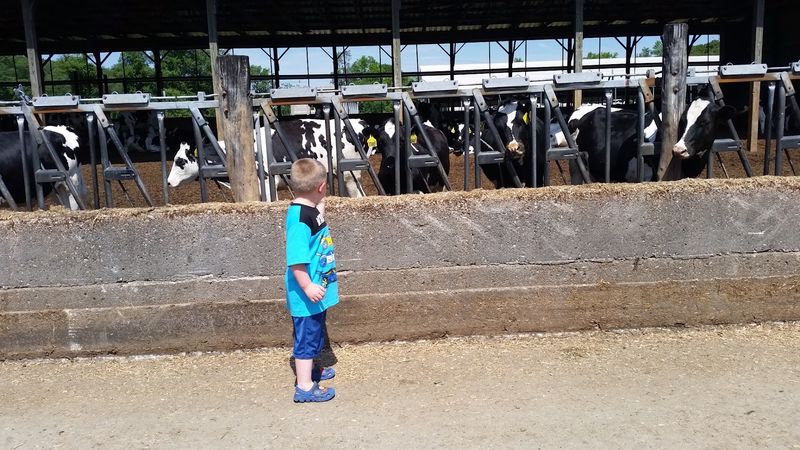 Cushman Farms, Franklin, CT