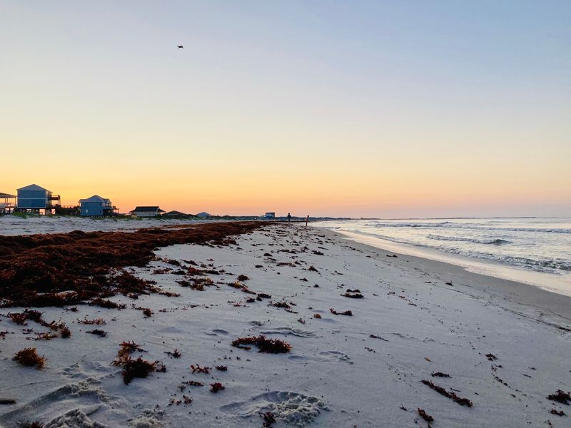 Dauphin Island