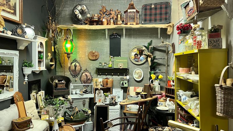 Decor Pieces That Shine in Any Home Decor Pieces That Shine in Any Home