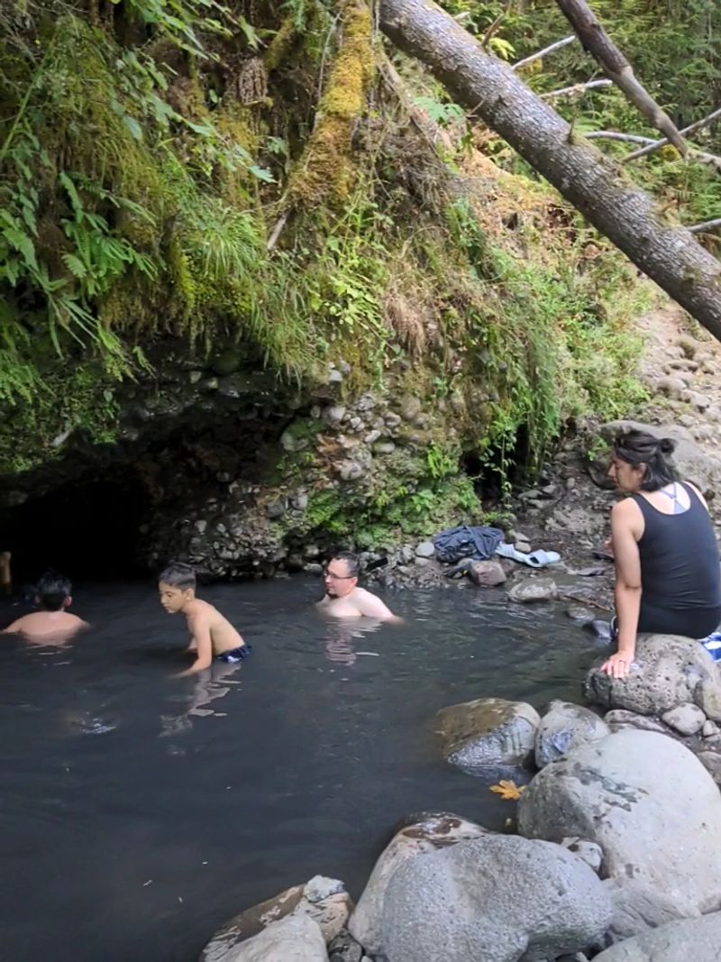 Deer Creek and Wall Creek (Meditation Pool), Willamette National Forest