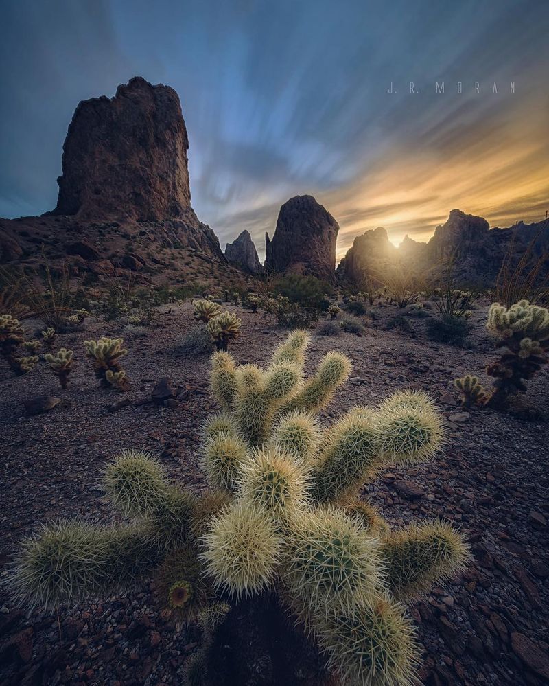Desert Wildlife That Will Surprise Even Experienced Nature Lovers Desert Wildlife That Will Surprise Even Experienced Nature Lovers